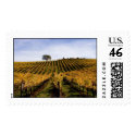 Alexander Valley Hillside postage