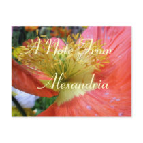 Alexandria Post Cards