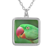 Alexandrine Parakeet Custom Necklace