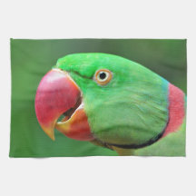 Alexandrine Parakeet Hand Towels