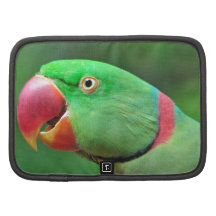 Alexandrine Parakeet Planner