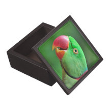 Alexandrine Parakeet Premium Gift Box