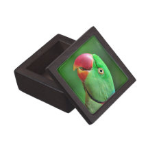 Alexandrine Parakeet Premium Jewelry Boxes