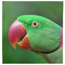 Alexandrine Parakeet Printed Napkin