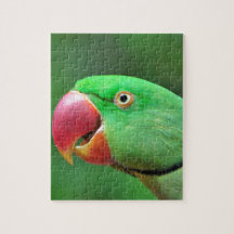 Alexandrine Parakeet Puzzles