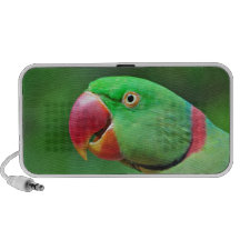 Alexandrine Parakeet Speaker