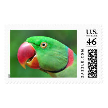 Alexandrine Parakeet Stamp