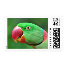 Alexandrine Parakeet Stamps