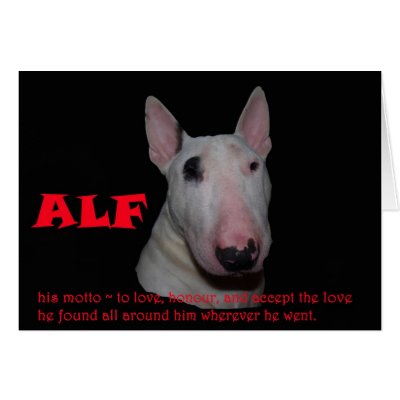 ALF accepting the love Greeting Card by fabulousalf