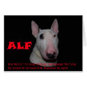 ALF accepting the love cards by fabulousalf ALF accepting the love cards