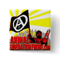 ALF.com Pin