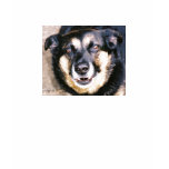 Alf the Chatty Dog (closer) t-shirts