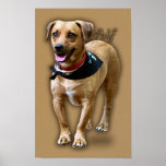 Alf the merry dog posters