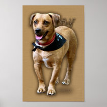 Alf the merry dog posters