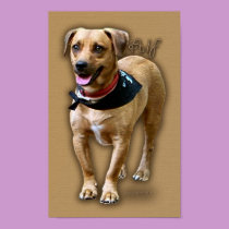 Alf the merry dog posters