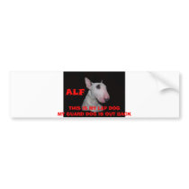 ALF, THIS IS MY LAP DOGMY GUARD DOG IS OUT BACK BUMPER STICKER
