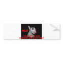 ALF, THIS IS MY LAP DOGMY GUARD DOG IS OUT BACK bumper stickers by fabulousalf ALF, THIS IS MY LAP DOGMY GUARD DOG IS OUT BACK bumper stickers
