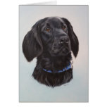 Alfie Cards