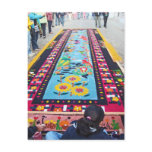 alfombra 14 postcards