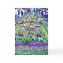 alfombra 16 greeting card