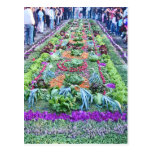 alfombra 16 post cards