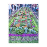 alfombra 16 post cards