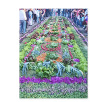 alfombra 16 post cards