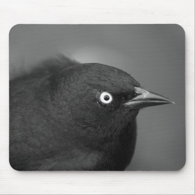 Alfred Hitchcock bird Mouse Pad by Olesha