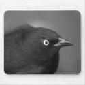 Alfred Hitchcock bird mousepads by Olesha Alfred Hitchcock bird mousepads
