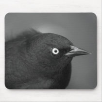 Alfred Hitchcock bird mousepads by Olesha Alfred Hitchcock bird mousepads