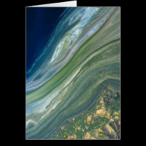 Algal scum on treated wastewater cards