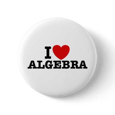 Algebra Pinback Button by magarmor