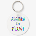 Algebra is Fun keychains