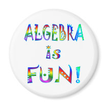Algebra is Fun magnets