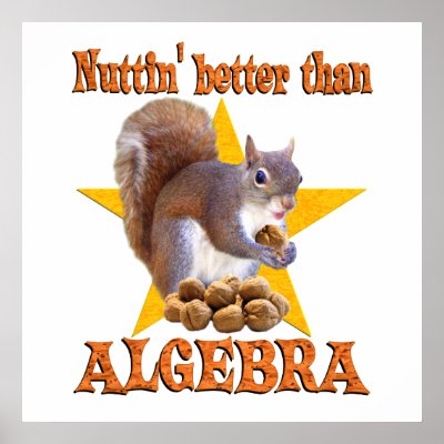 Algebra Squirrel Print