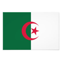 Algeria – Algerian Flag Art Photo
