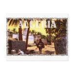 Algeria Art Postcard