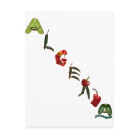 Algeria Chili Peppers Post Card