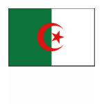 Algeria Flag and Map Spaghetti Top