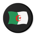 Algeria Flag Magnet by livingflags Algeria Flag Magnet