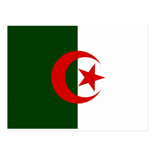 Algeria Flag Post Card