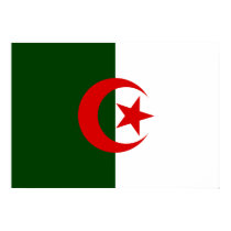 Algeria Flag posters by coolcountry Algeria Flag posters
