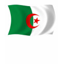 Algeria Flag Shirt by LivingFlags2 Algeria Flag Shirt
