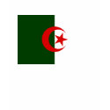Algeria Flag t-shirts