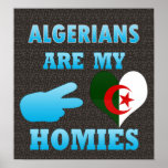 Algerians are my Homies posters