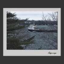 Algocape posters