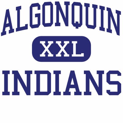algonquin tribe