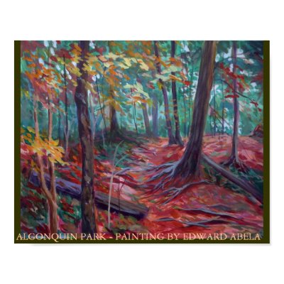 algonquin park ontario Print