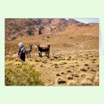 Ali Sabieh Trip cards