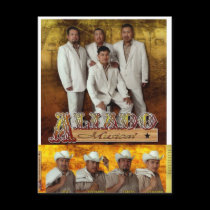 Aliado Musical Postcard postcards